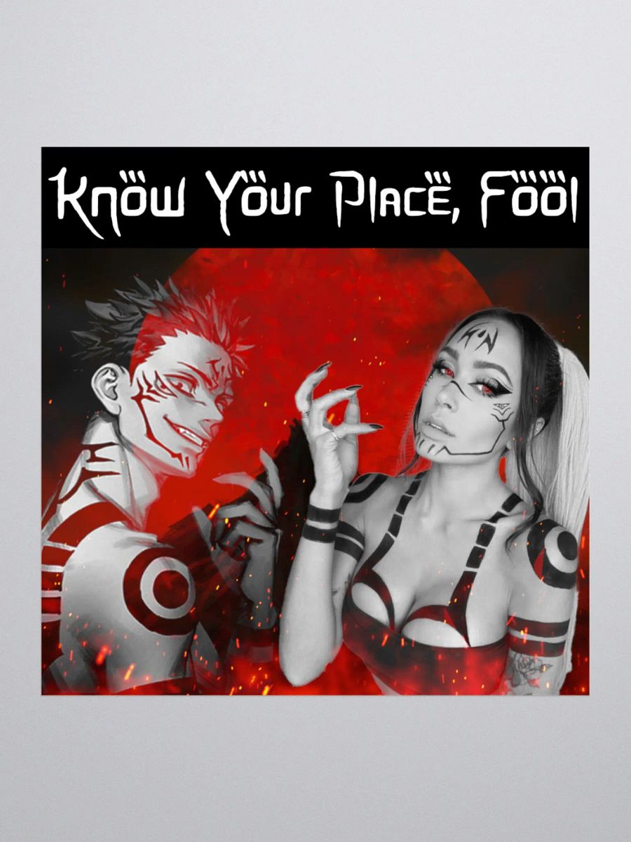 Know Your Place, Fool Sticker product image (1)