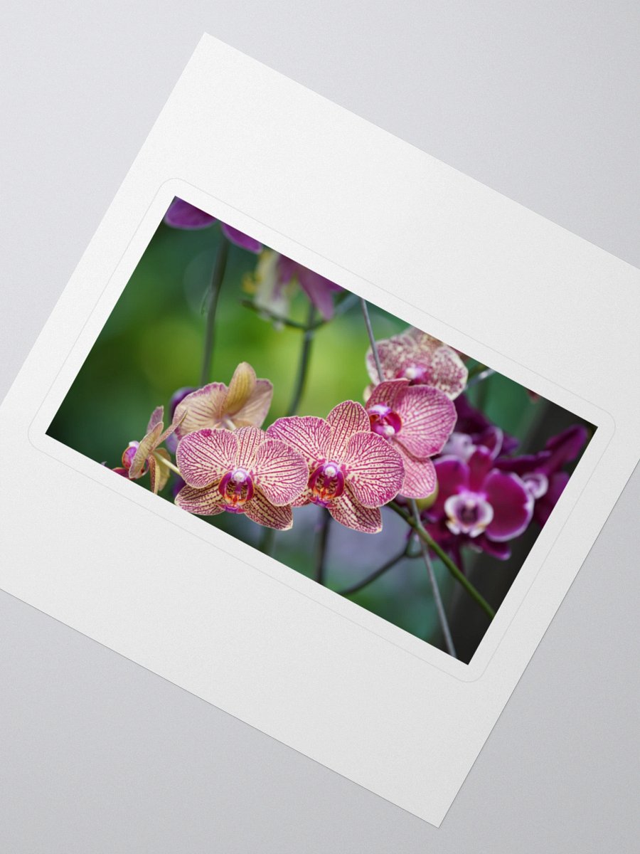 Orchid Dreams Kiss Cut Stickers product image (2)