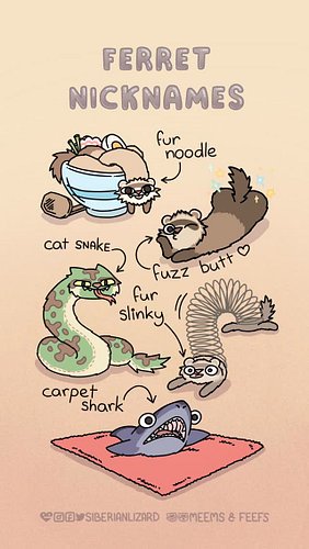 What are your favourites? Leave them in the comments and i'll add them to the next edition! 👌

Also, my book Meems & Feefs is...