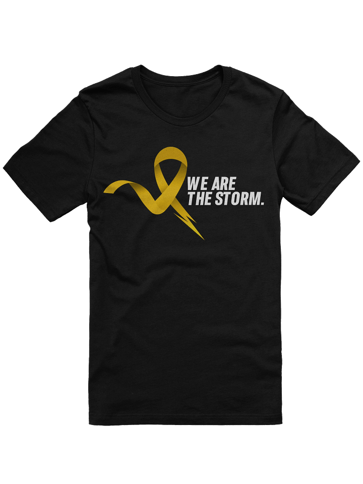 We are the Storm product image (1)