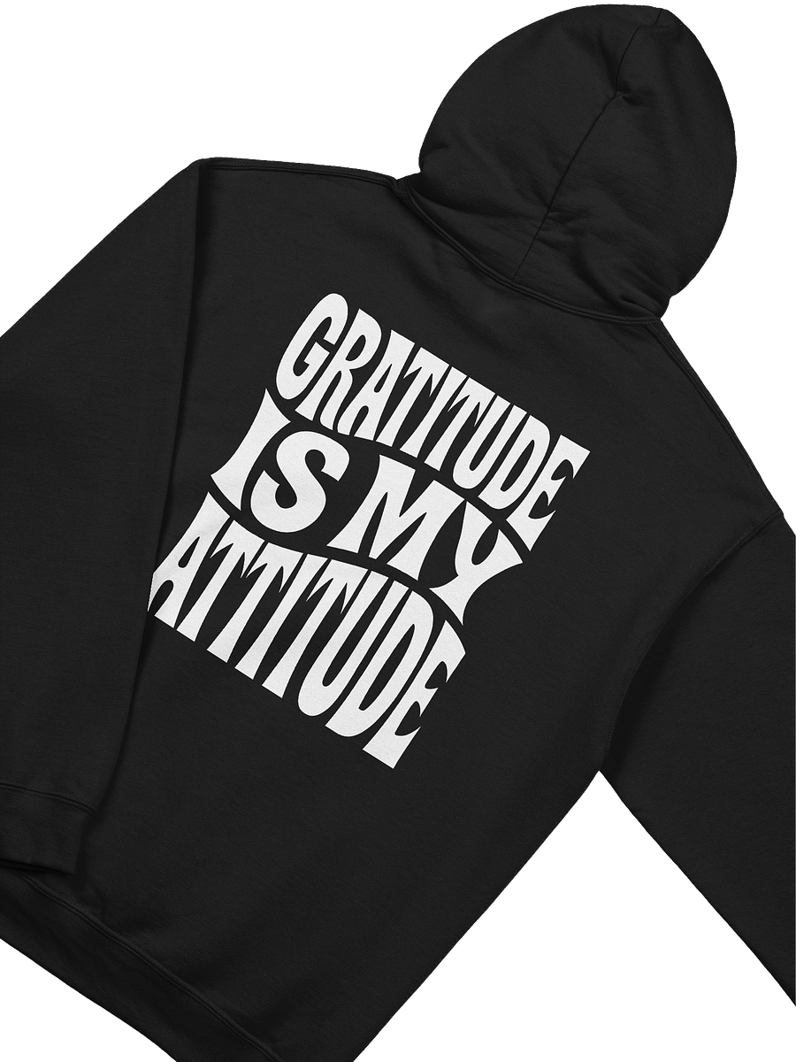 Gratitude Is My Attitude Hoodie product image (3)
