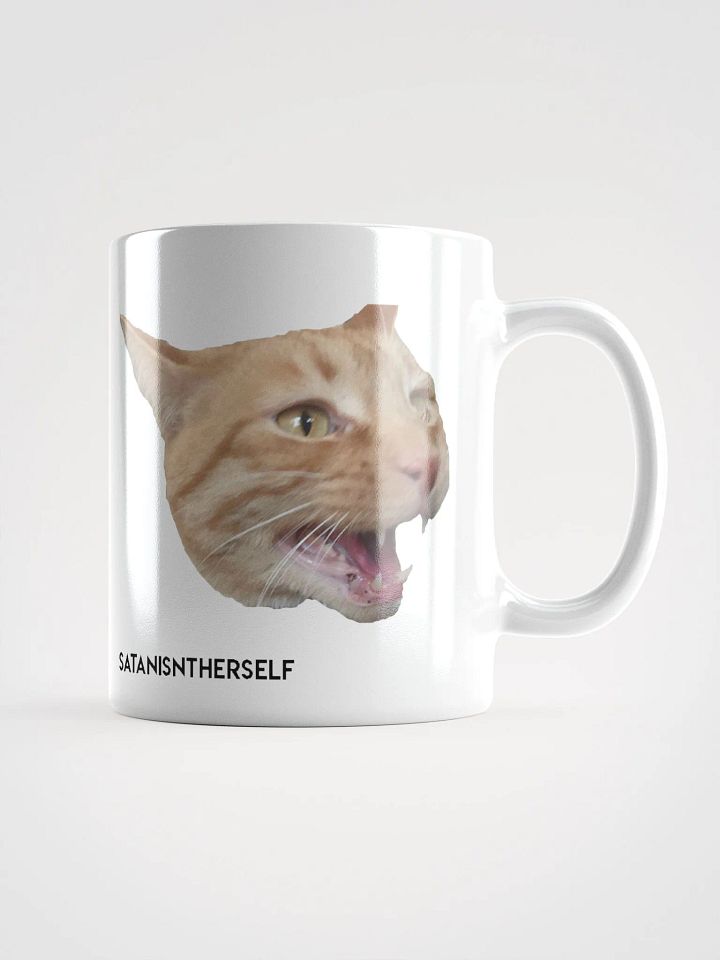 The Duality of Cat product image (1)