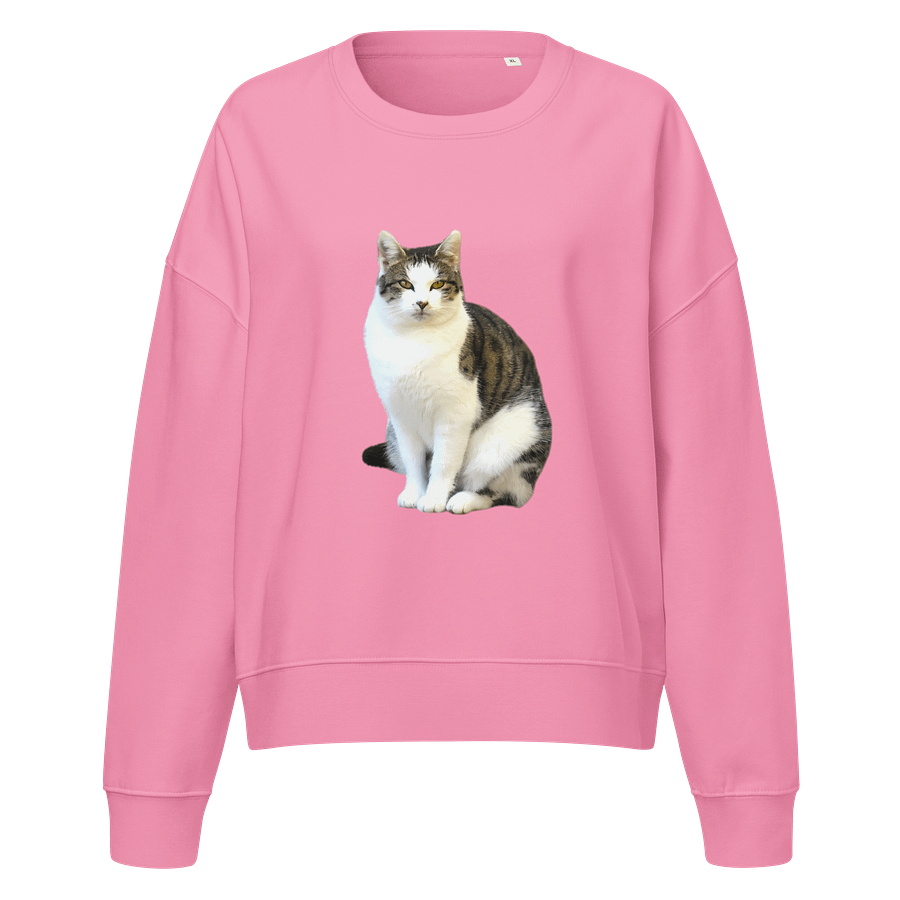 Tabby Dreams Organic Sweatshirt product image (1)