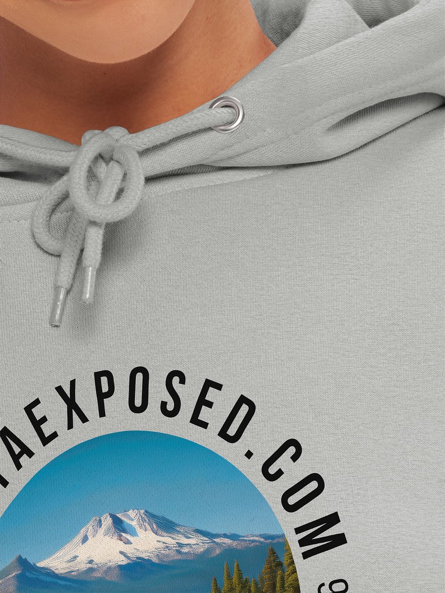 Mountain Serenity Unisex Hoodie product image (21)