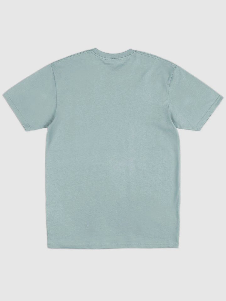 Y2K Men's Premium Heavyweight Tee (V1) product image (2)