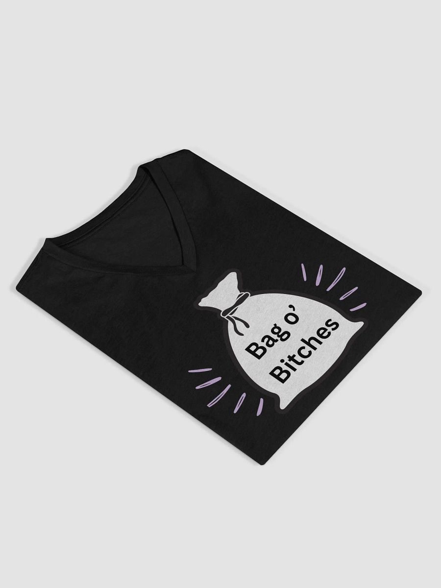Bag O' Bitches T-Shirt product image (42)