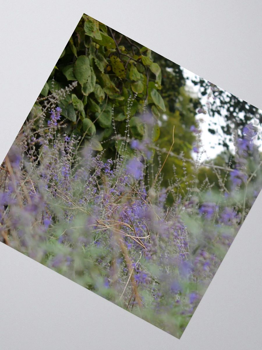 A Study in Flowers 16 - sticker version product image (4)