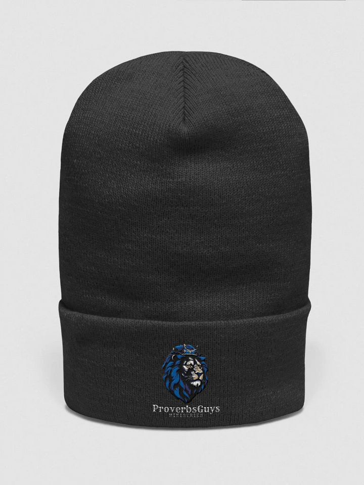 PGM beanie product image (1)