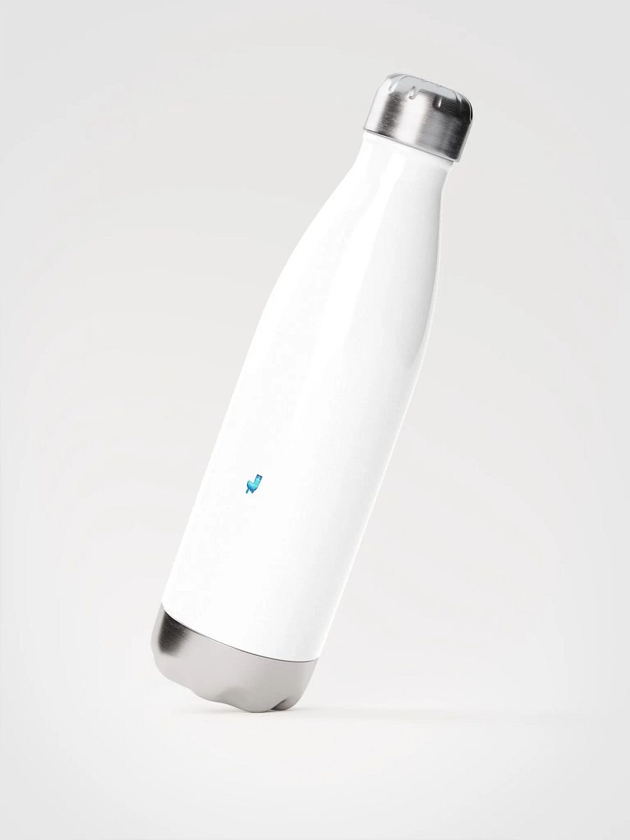 Insulated Stainless Steel Water Bottle product image (2)