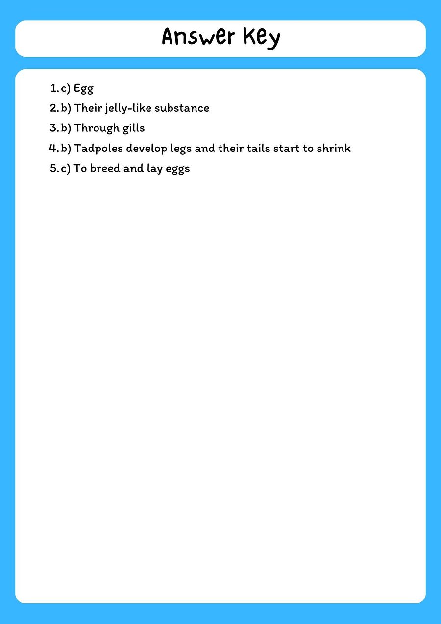 Frog Life Cycle Reading Passage with Comprehension Questions product image (3)