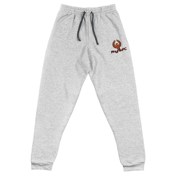 PhynixPC Embroidered Joggers product image (1)