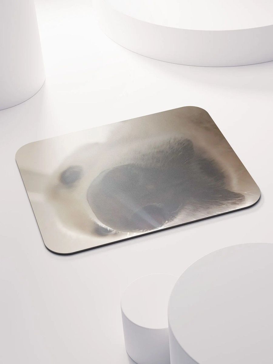 close boy product image (6)