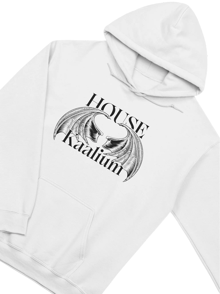 House Kaalium Classic Hoodie product image (6)