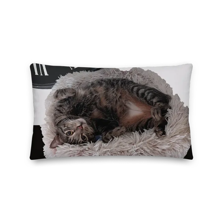 Ben Pillow with Background product image (1)