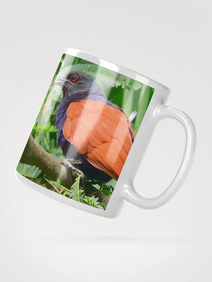 IUCAA Birds MUG product image (2)