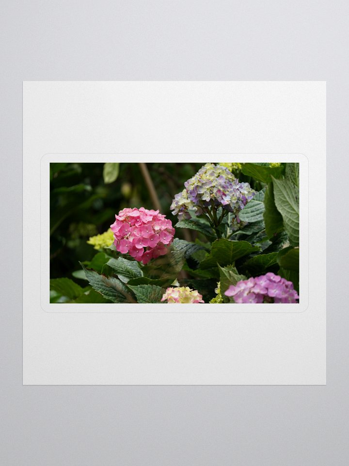 Hydrangea Harmony Kiss Cut Stickers product image (1)