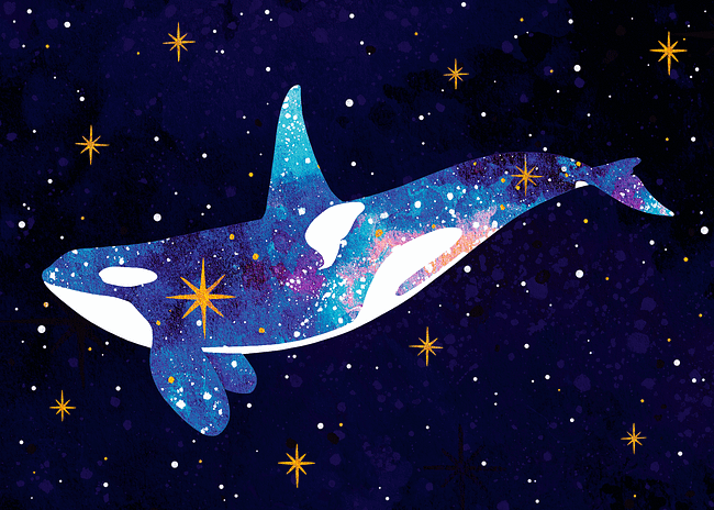 Galaxy Orca