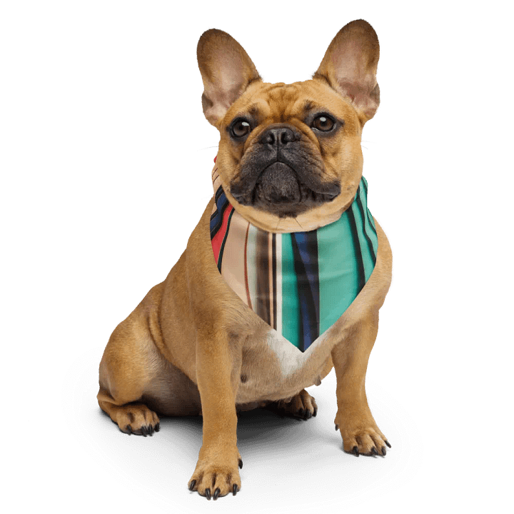 Radiant Motion Bandana product image (1)