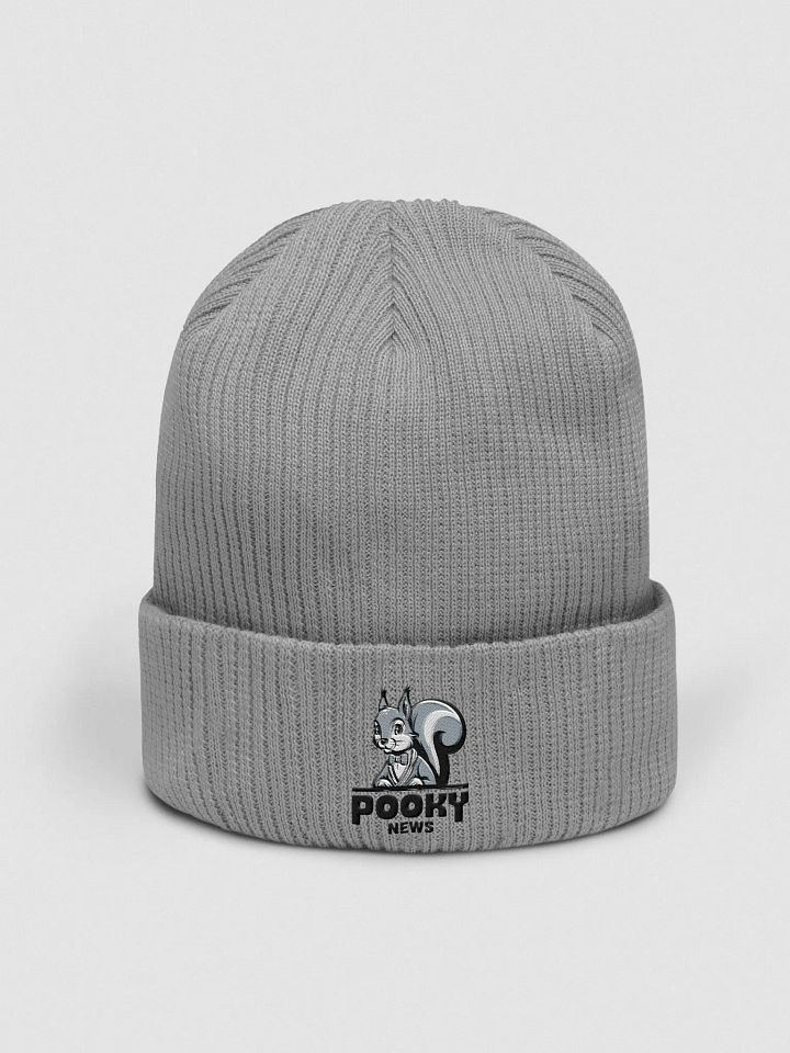 Organic Cotton Embroidered Beanie: Pooky News product image (1)