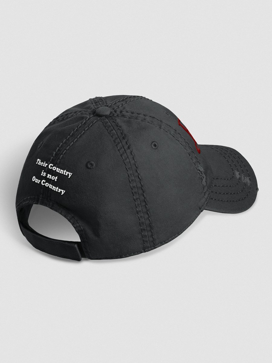 Eugene "Alabamer" Distressed Cap product image (3)