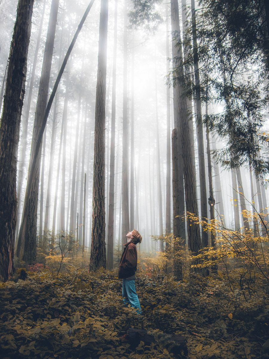 Ayitsphotography - ULTIMATE PRESET PACK (50+ PRESETS) product image (3)