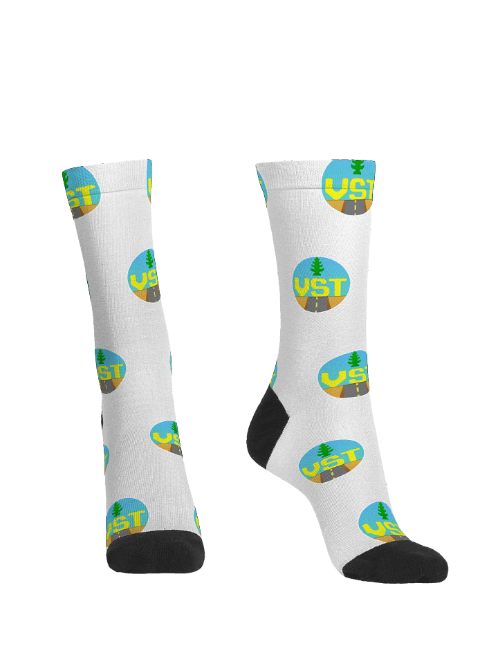 VST Favicon Socks product image (2)