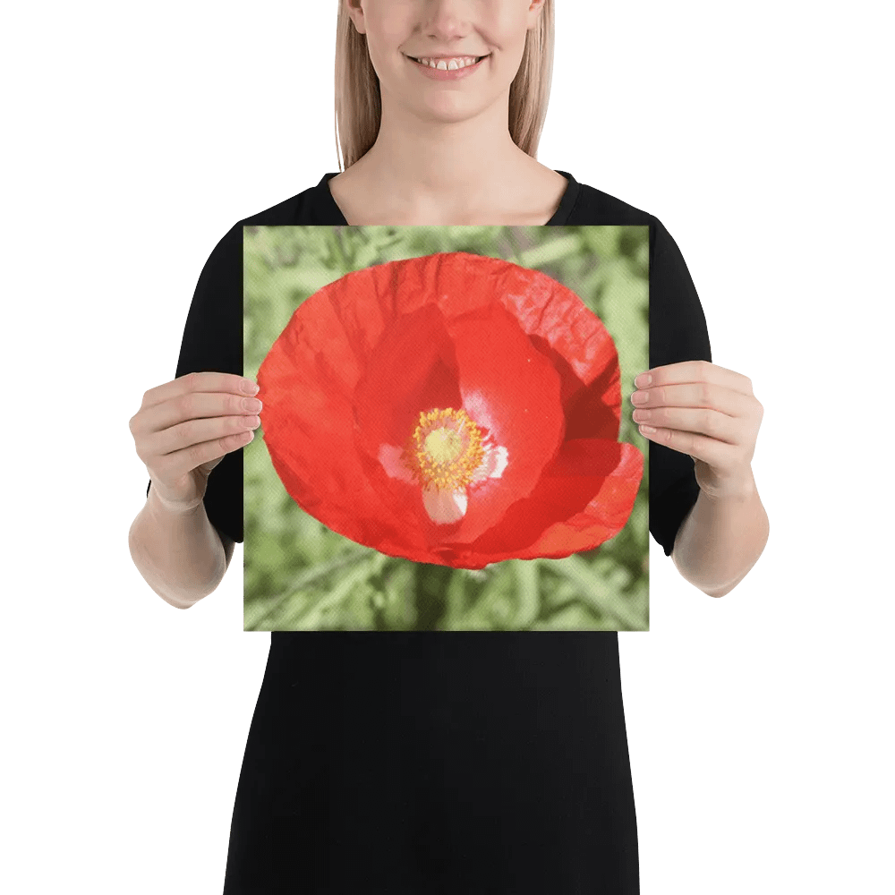 Red Poppy product image (4)