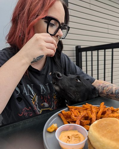 Trying to eat with Loki 🙄