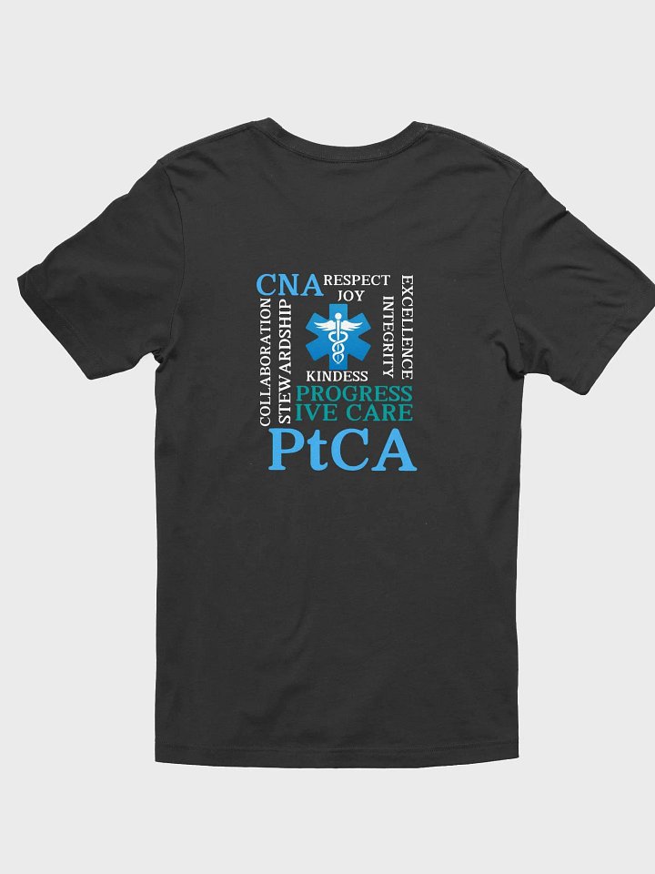 PtCA Values product image (2)