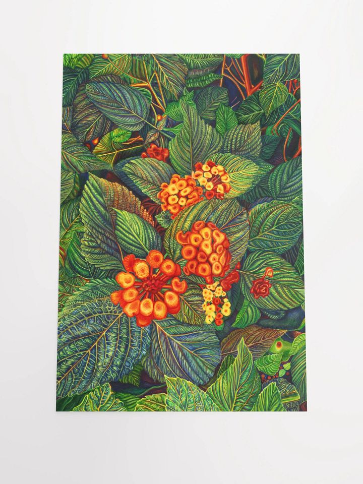 Vibrant Matte Poster Print - Bright Orange Flowers product image (1)