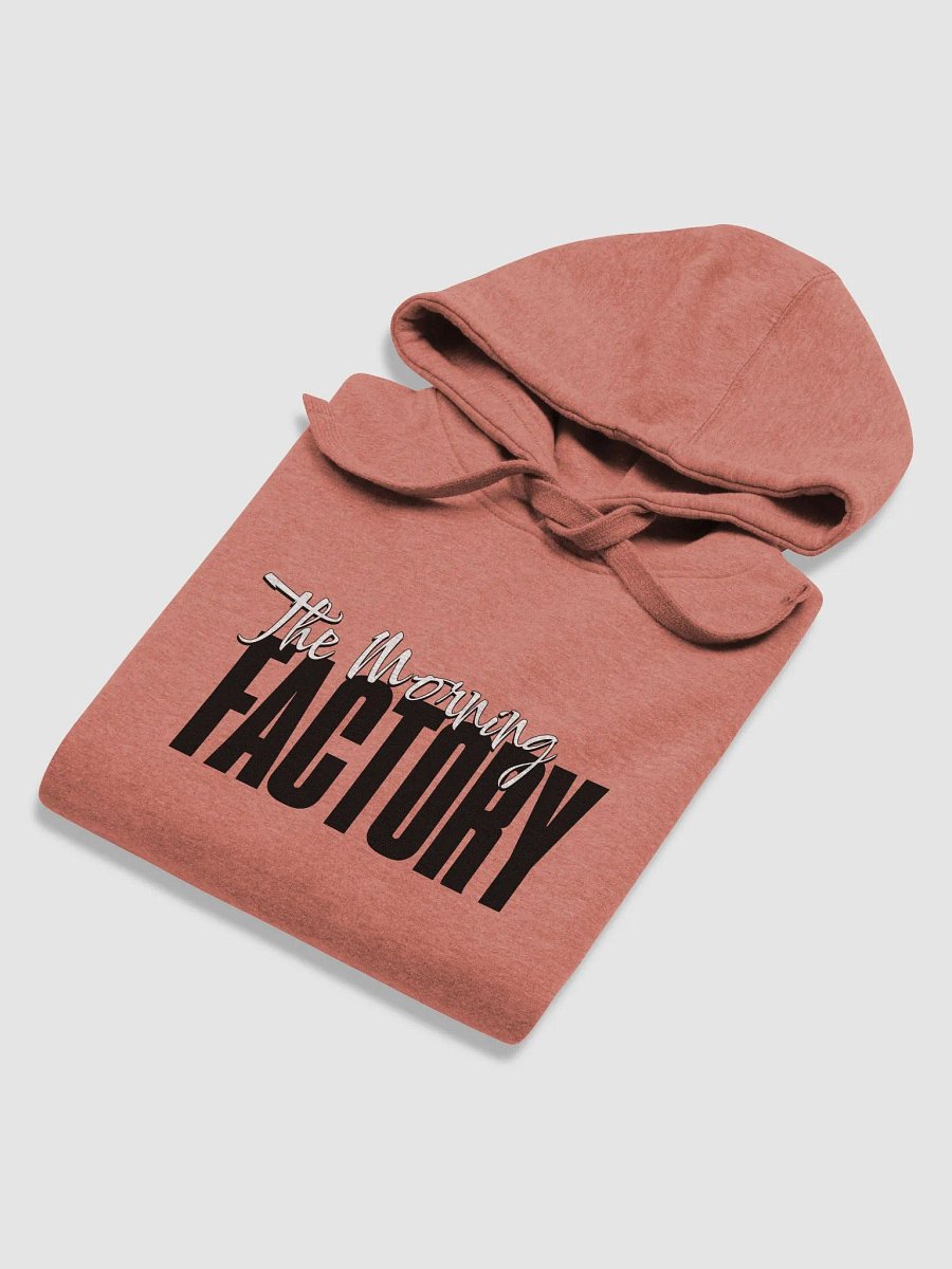 Big Fact -Unisex Premium Hoodie product image (24)