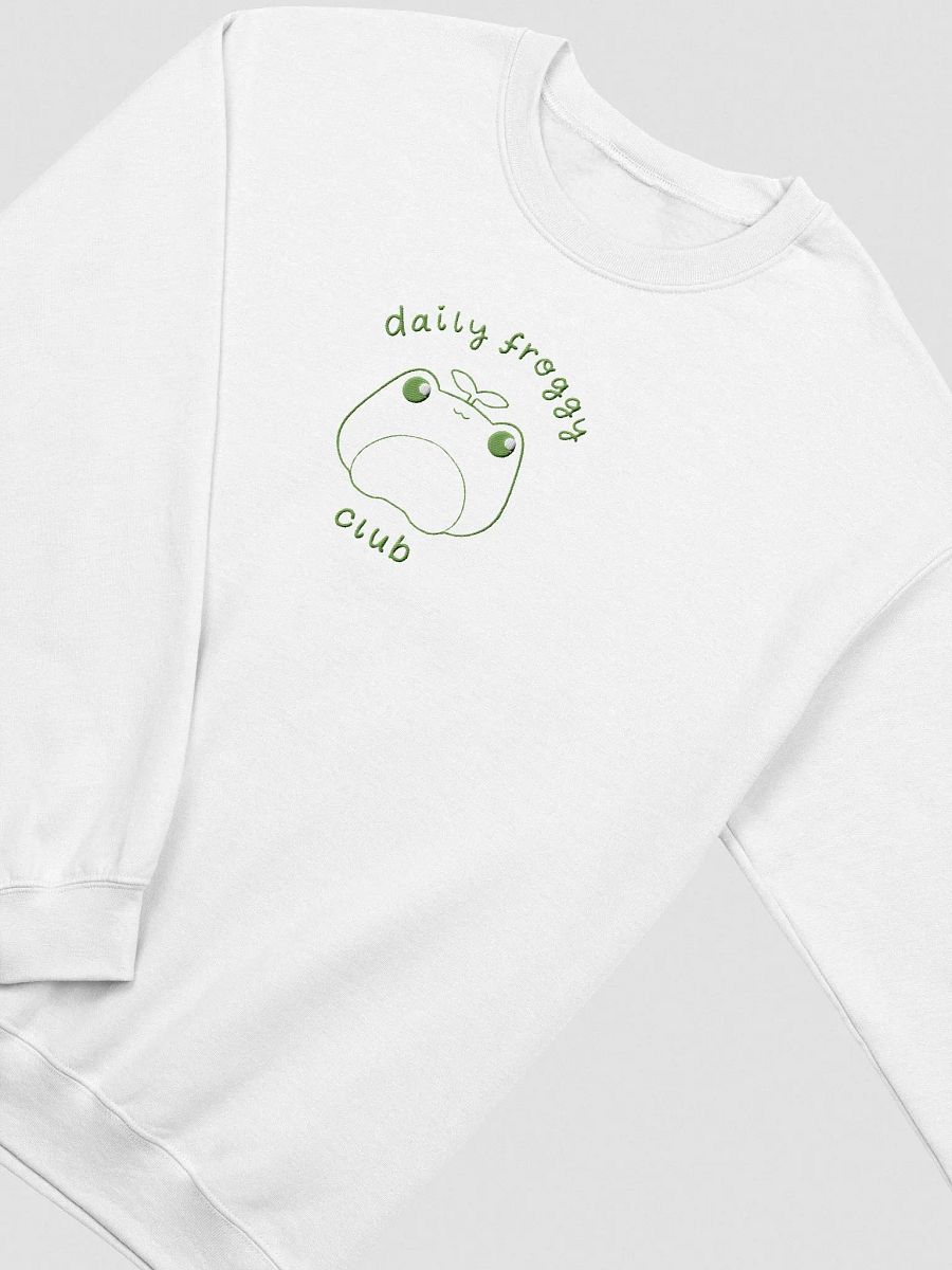 Daily Froggy Club Embroidered Sweater product image (18)