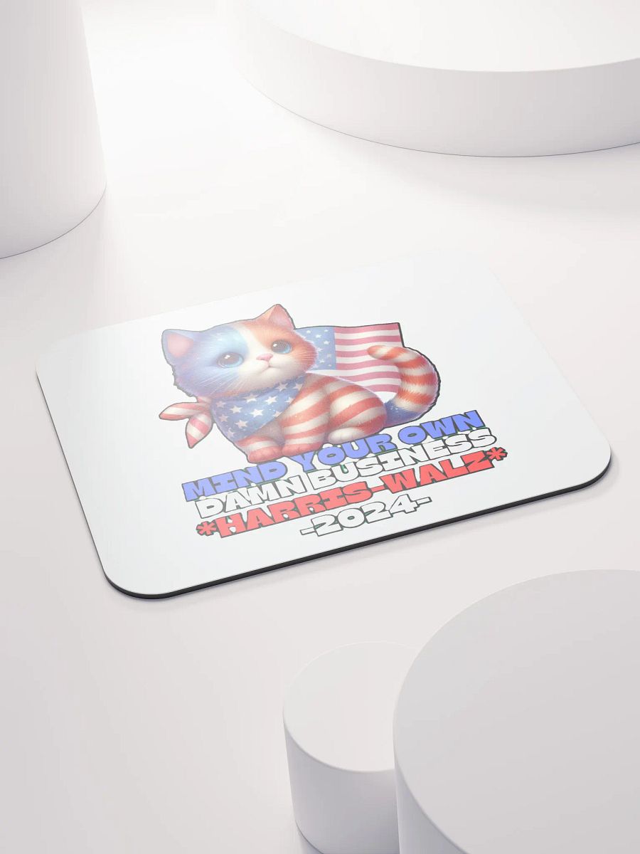 HARRIS-WALZ 2024 MIND YOUR OWN DAMN BUSINESS product image (4)