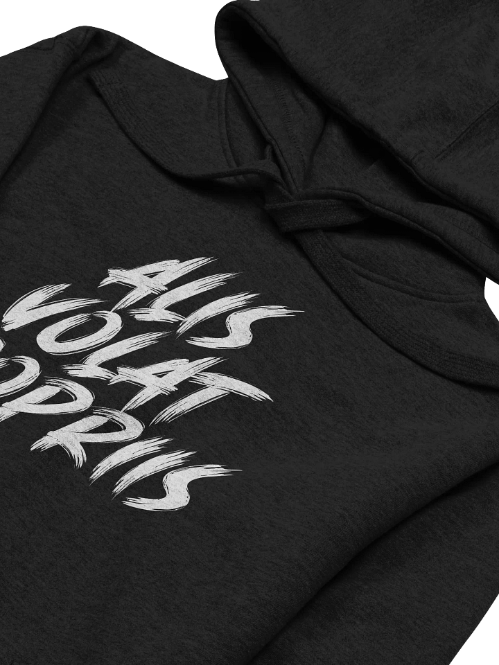 Alis Volat Propriis Bold Brush Hoodie product image (2)
