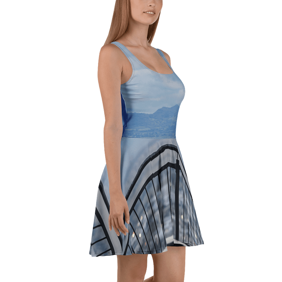Lookout Dress product image (3)