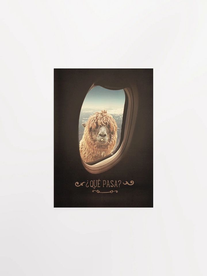 Llama's Perspective Poster "¿Que Pasa?" product image (6)