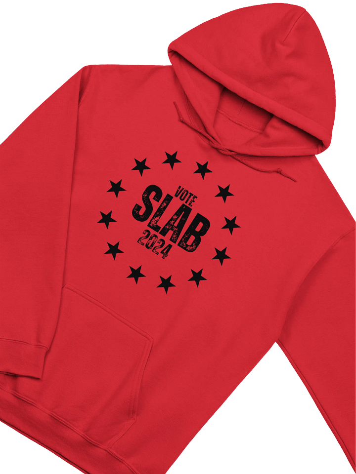 Vote Slab 2024 Black Hoodie product image (30)