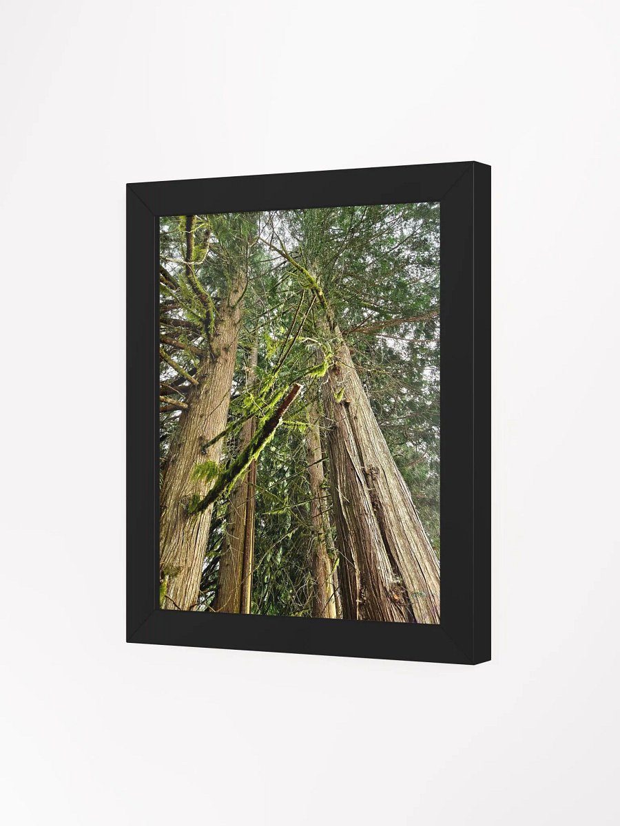 Feeling Small product image (7)
