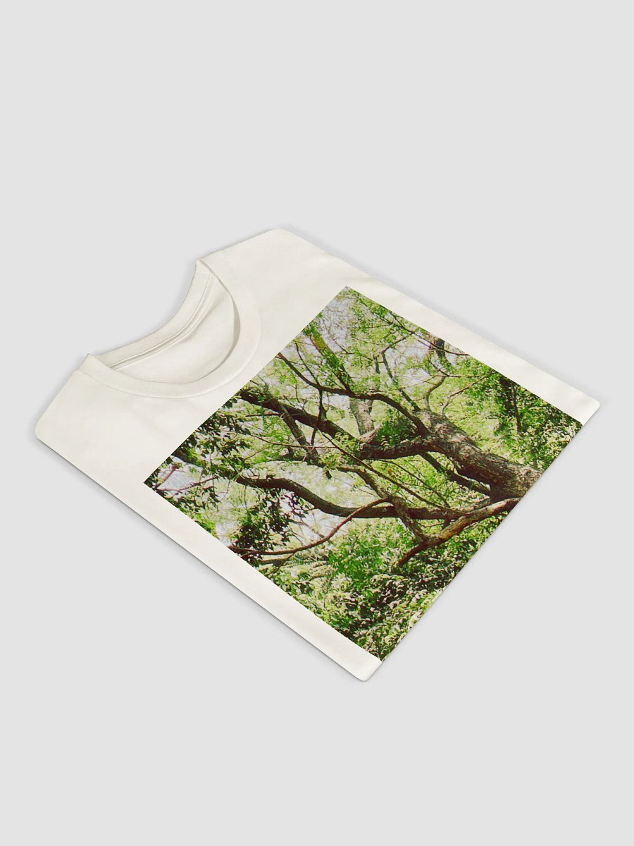EARTH TONE DIVINE MUSIC TEE product image (3)
