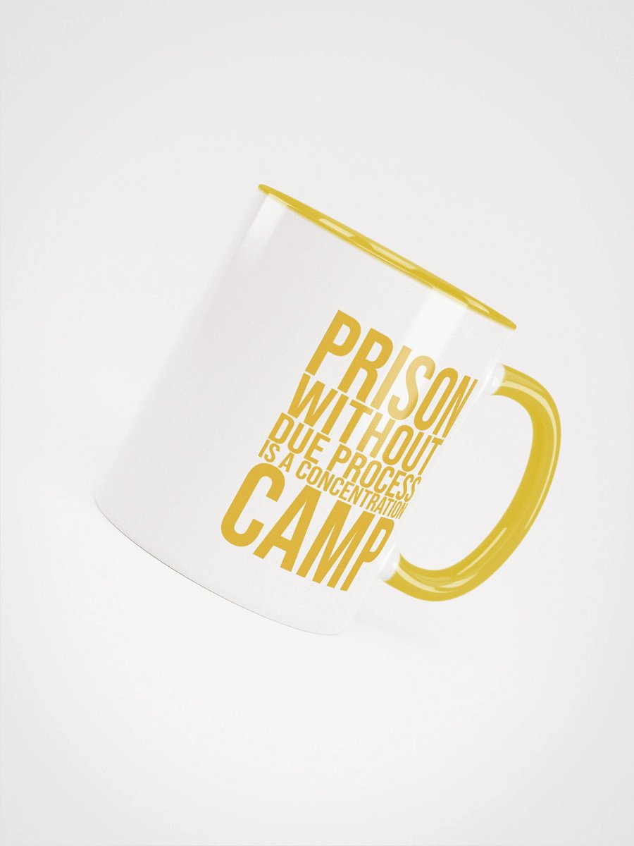 Due Process Concentration Camp Mug- Being Liberal product image (10)