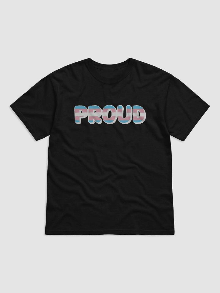 The 'PROUD trans' T-Shirt - Black product image (1)