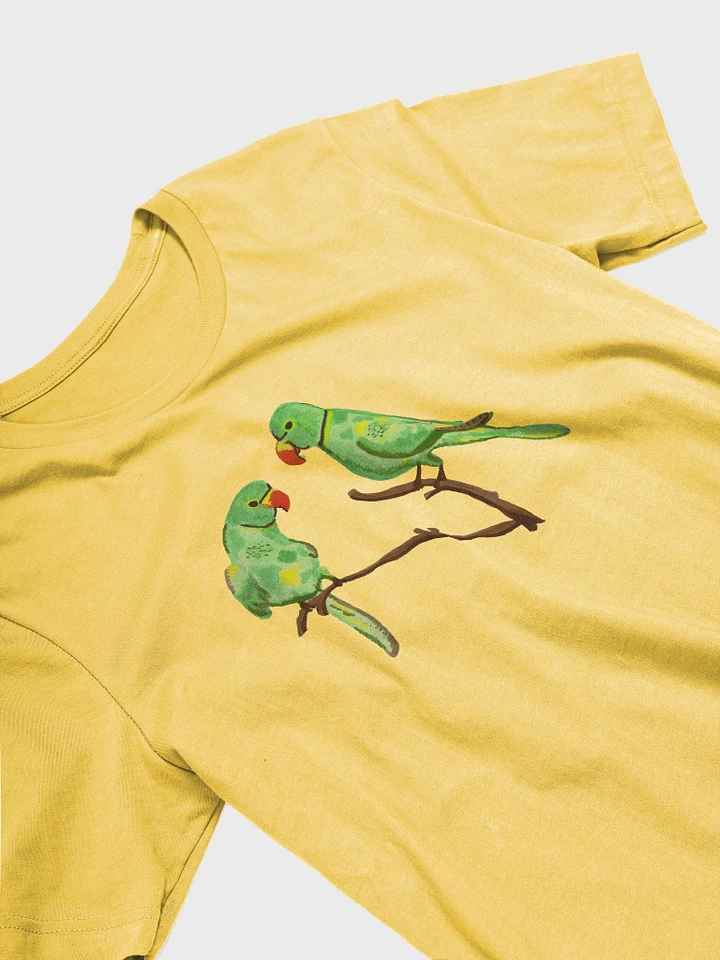 Birbs at the Window Supersoft Premium T-Shirt product image (2)