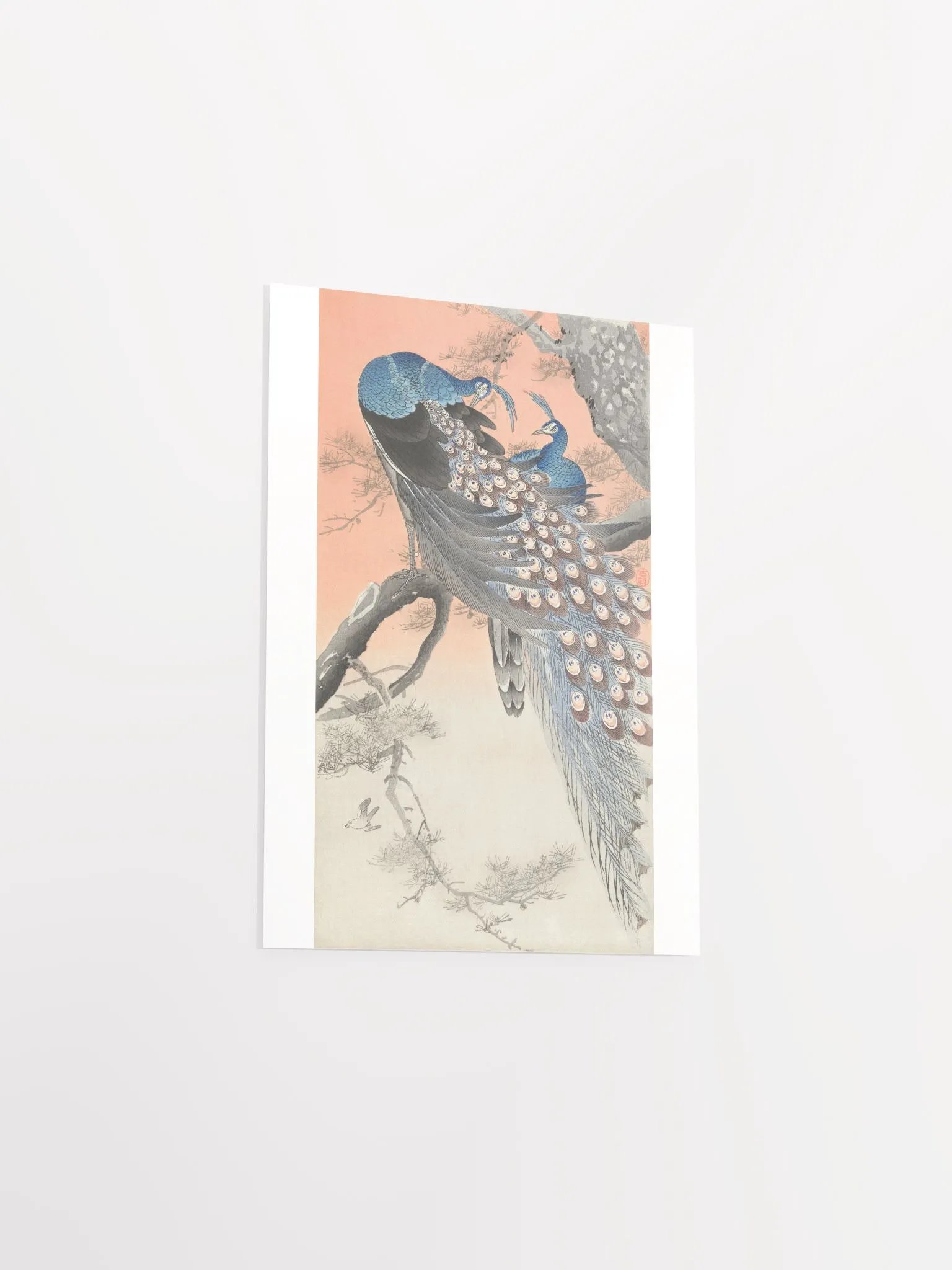 Two Peacocks on Tree Branch by Ohara Koson product image (3)