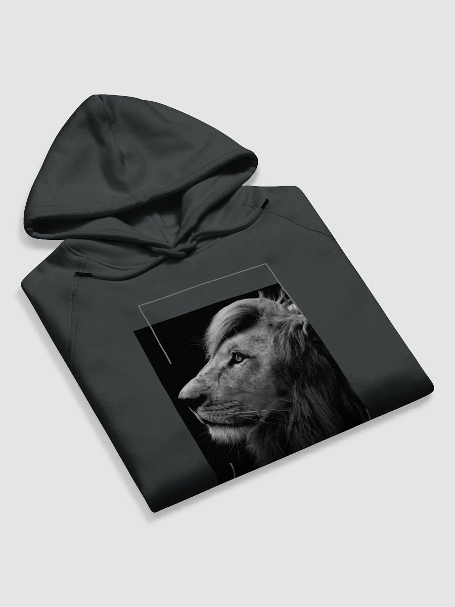 Majestic Hoodie product image (6)