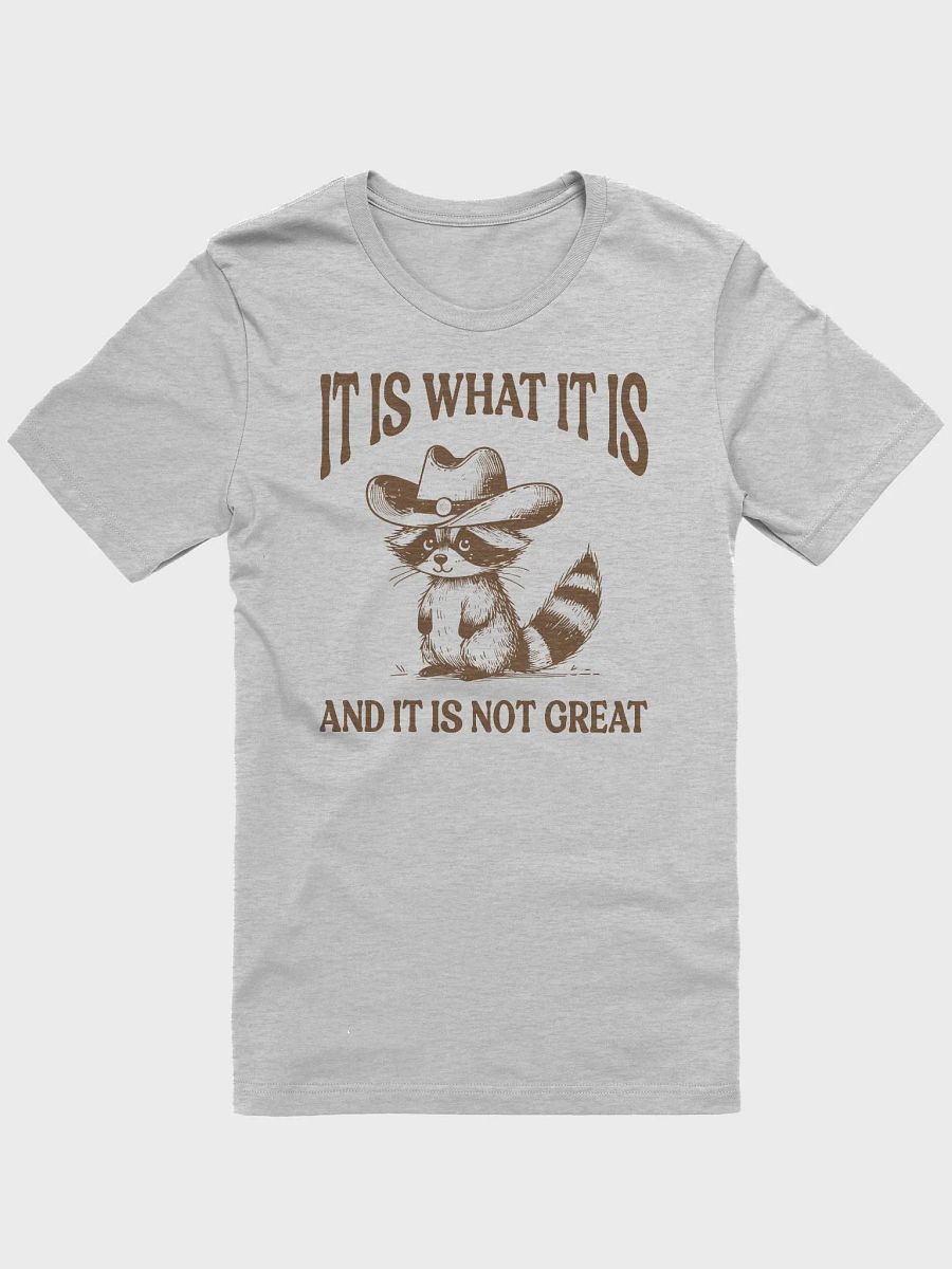 It Is What It Is and It Is Not Great Funny Raccoon T-Shirt product image (1)
