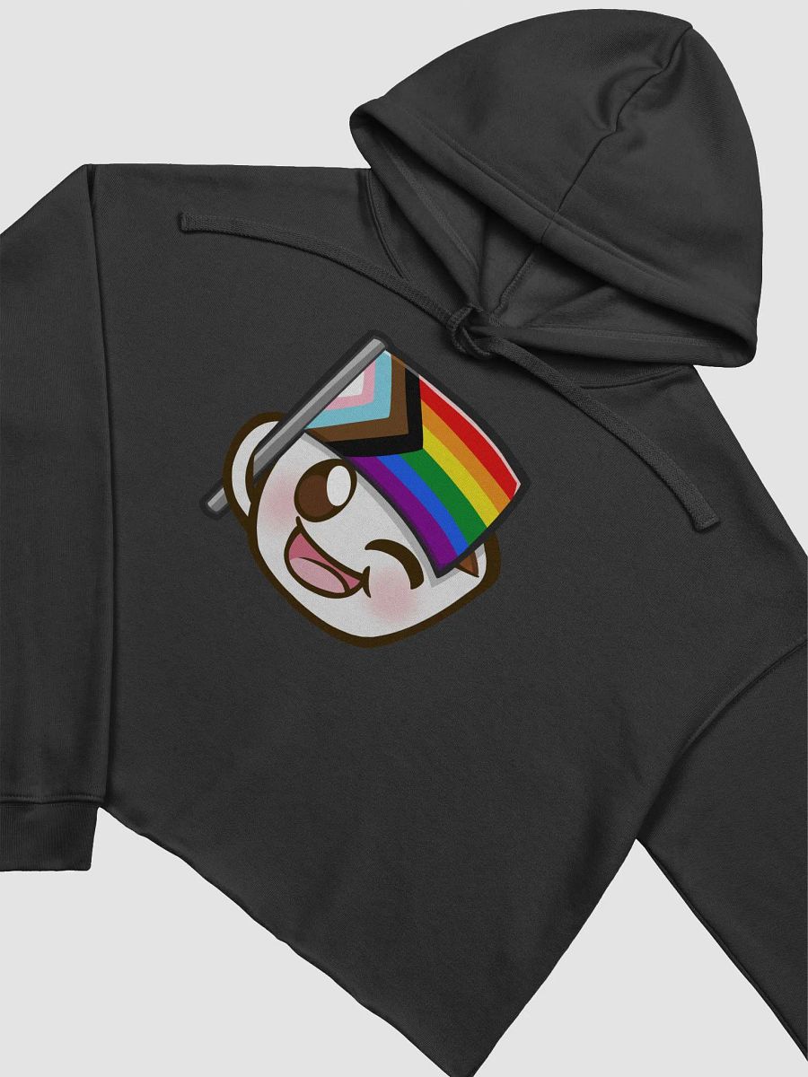 Pride Crop Hoodie product image (6)