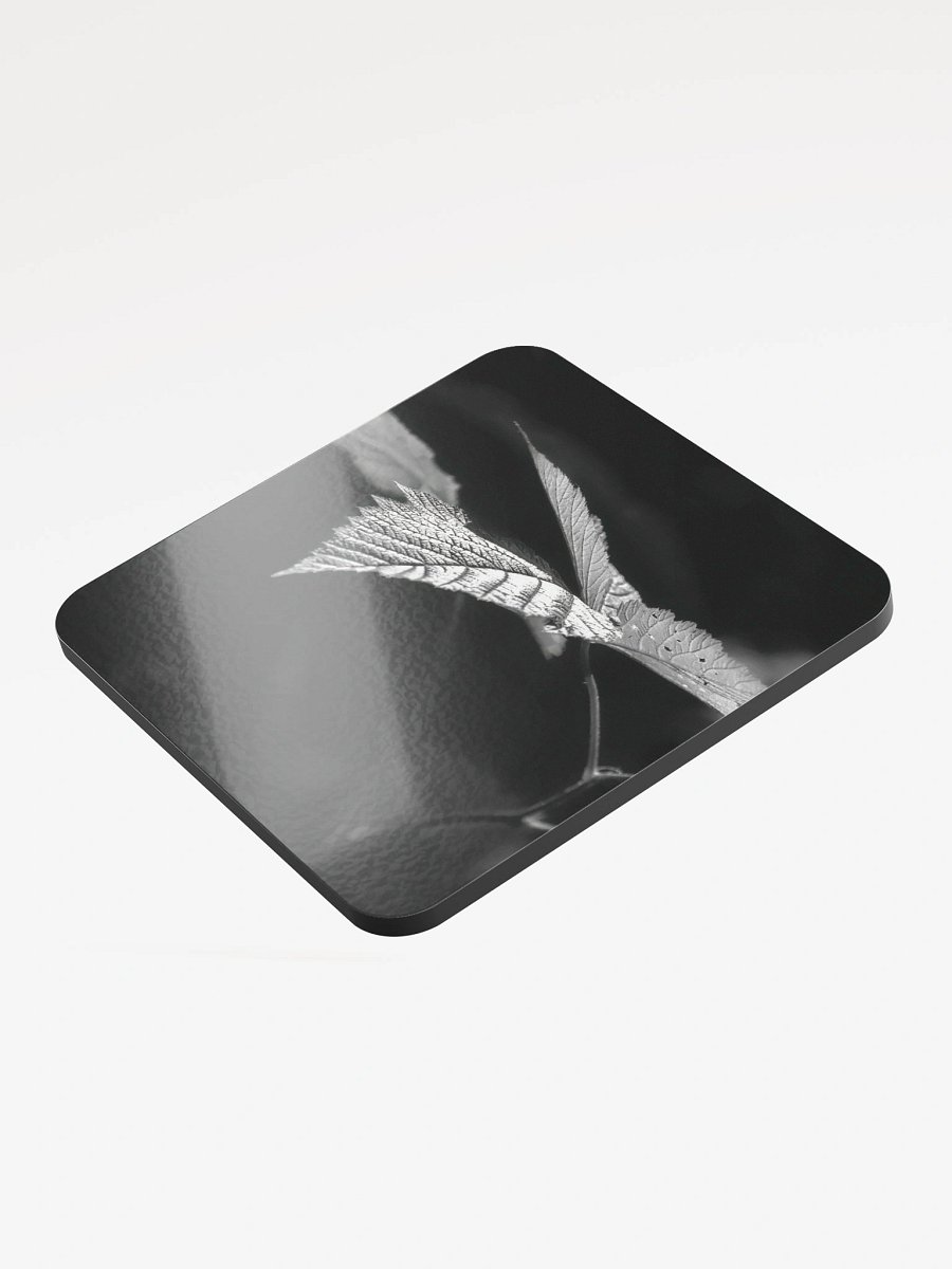 Lower Dungeness Trail Timber sun lighting Cork Coaster product image (3)