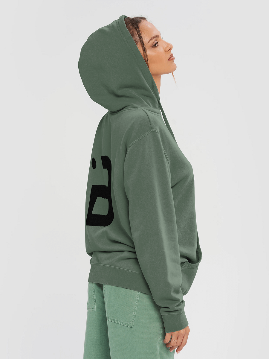 BUIII Originals Logo Black Premium Vintage Hoodie product image (39)