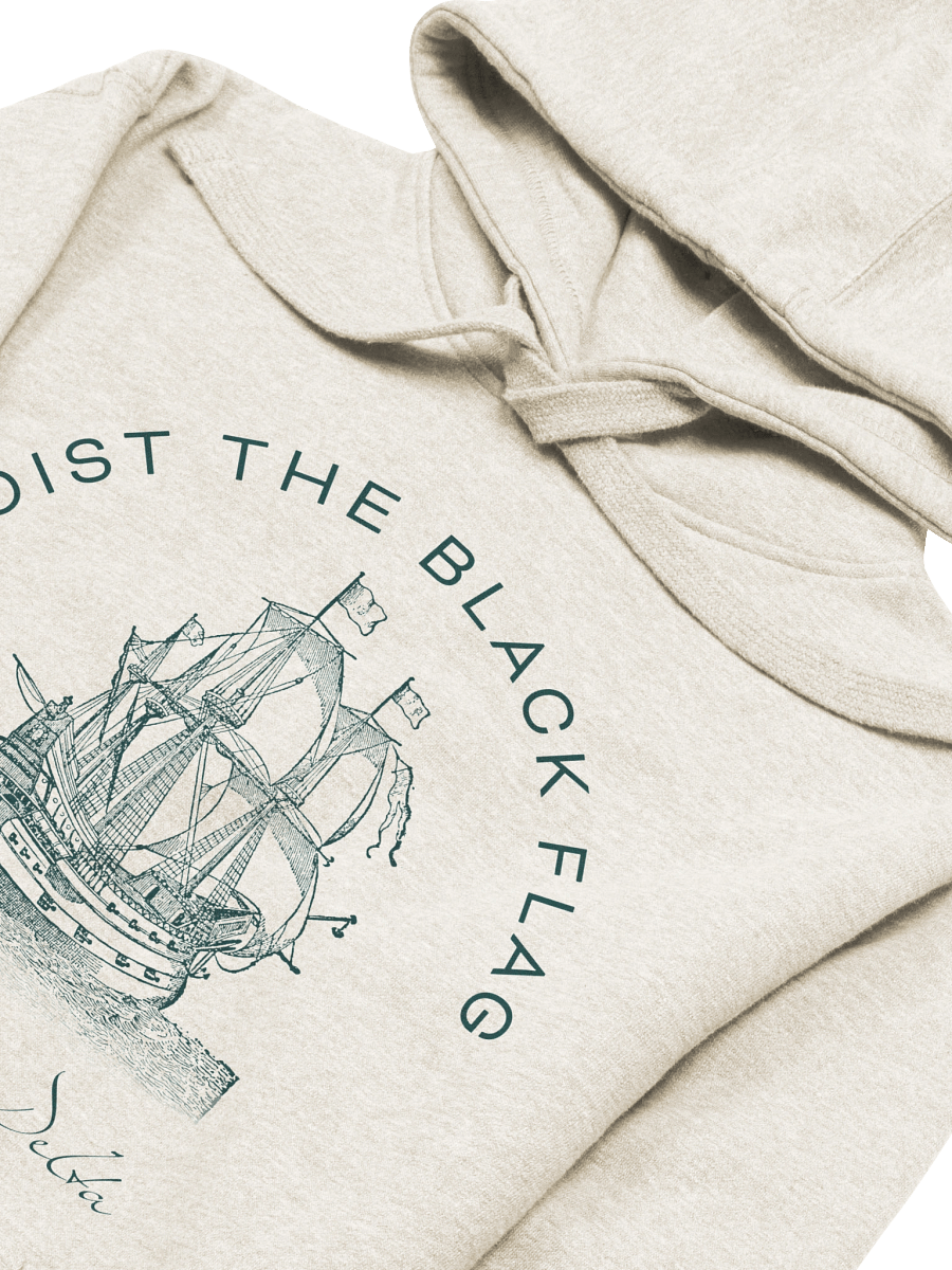 Black Flag Hoodie product image (3)
