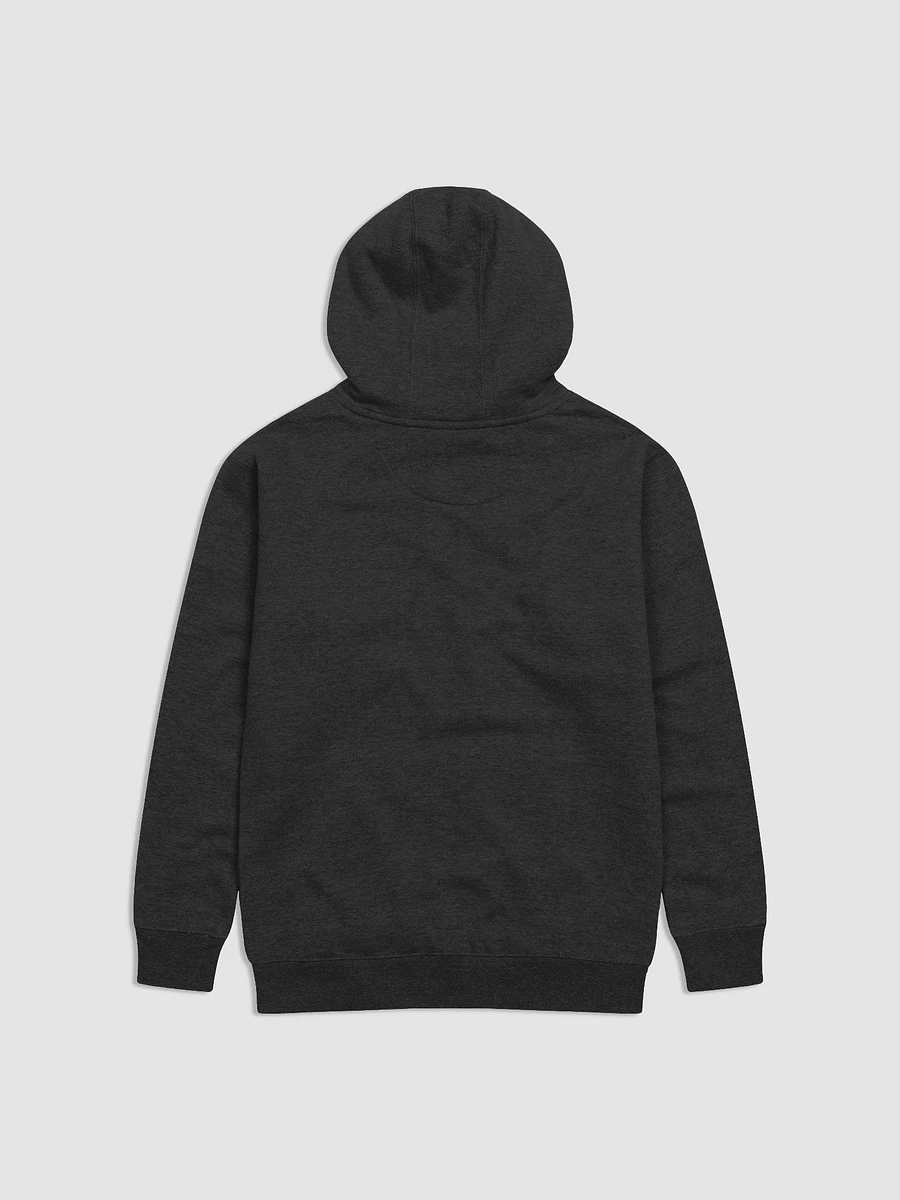 UnFINISHEd Hoodie (HNM EXCLUSIVE) product image (2)